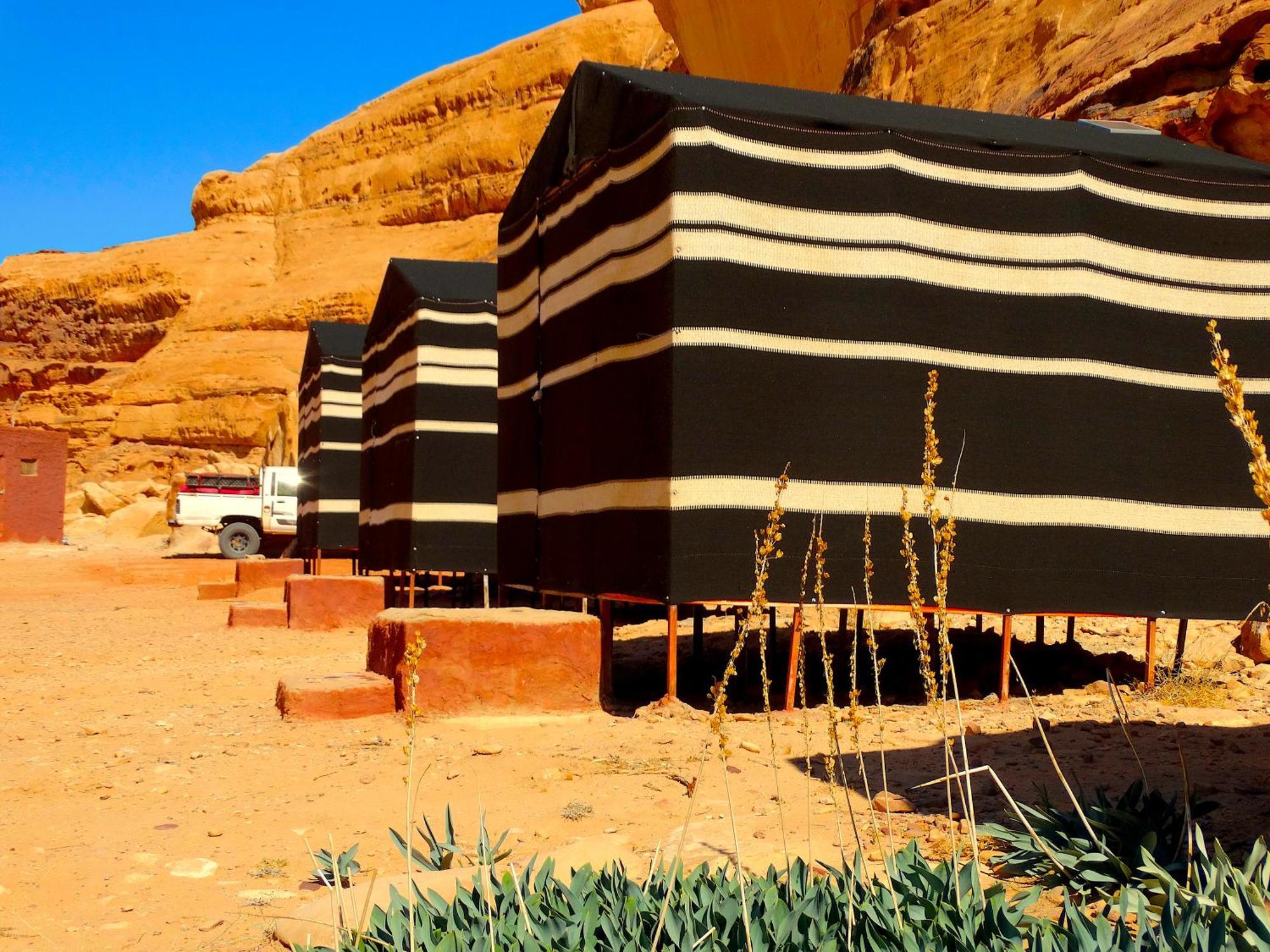 Wadi Rum View Camp Exteriör bild
