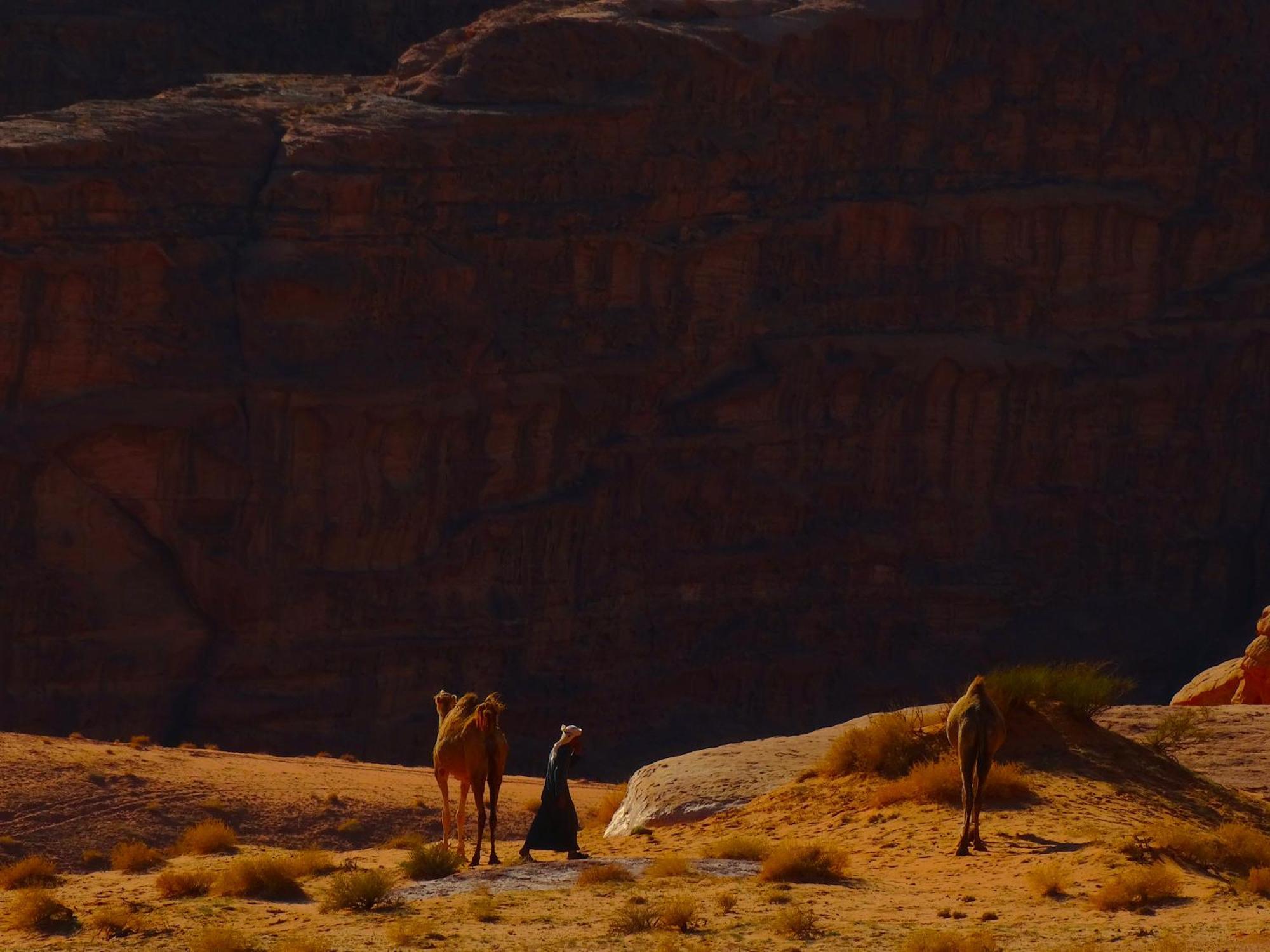 Wadi Rum View Camp Exteriör bild