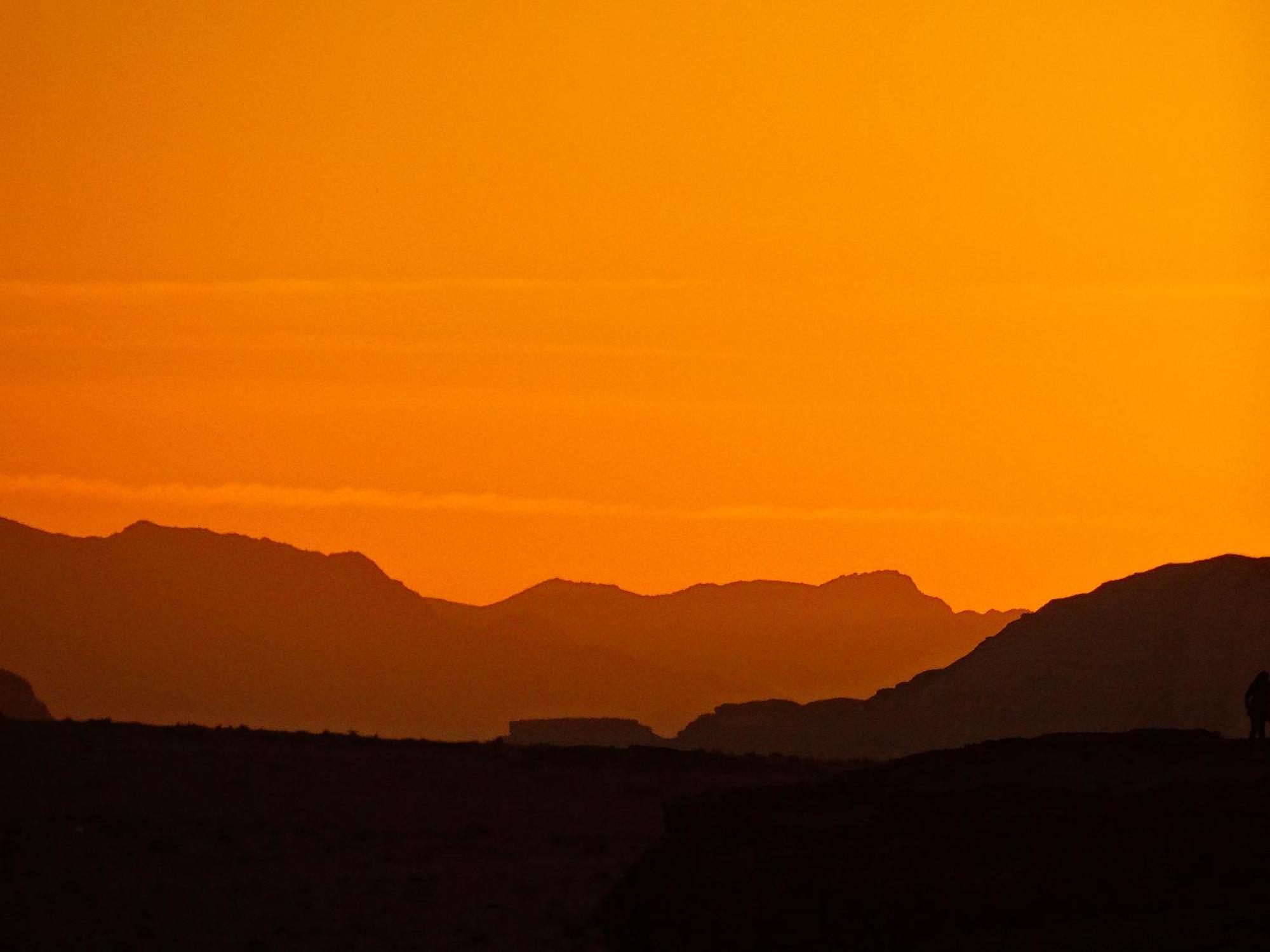 Wadi Rum View Camp Exteriör bild