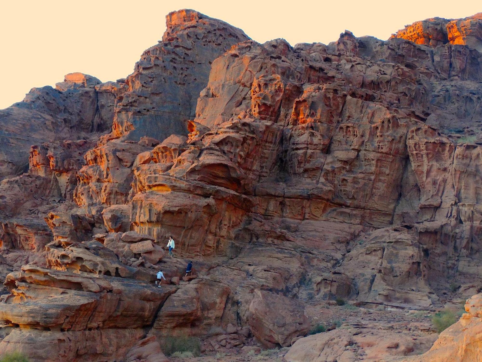 Wadi Rum View Camp Exteriör bild