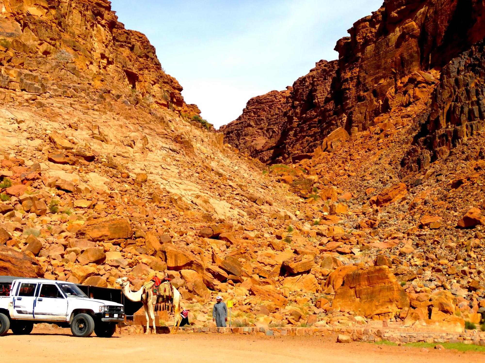 Wadi Rum View Camp Exteriör bild