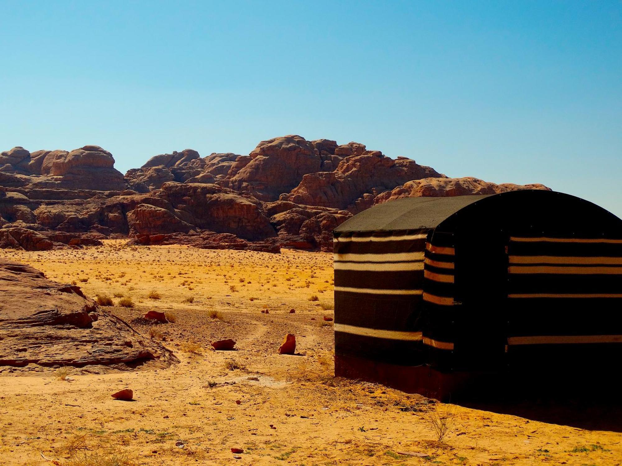 Wadi Rum View Camp Exteriör bild