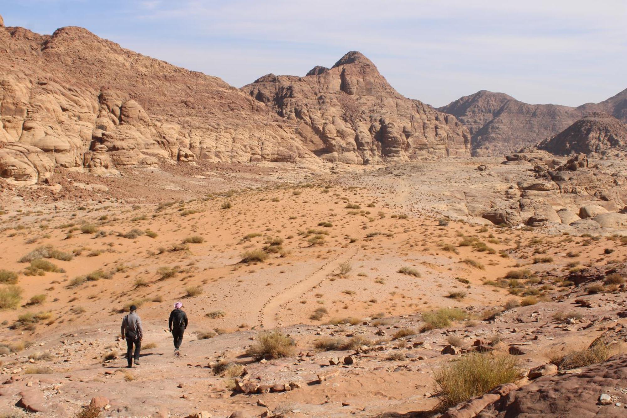 Wadi Rum View Camp Exteriör bild
